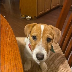 Meet your Posher, Rick